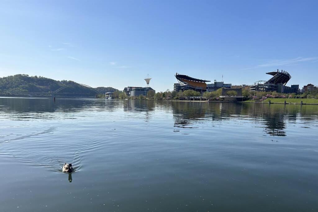 Sprawling Stadium Views Wonderful Location 24-7 Parking Gym Lounge Pittsburgh Esterno foto